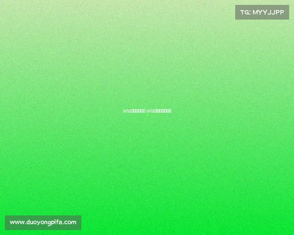 wta顶级赛事积分 wta顶级赛冠军奖金